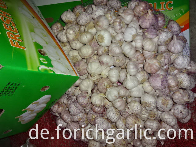 High Quality Normal Garlic 2019